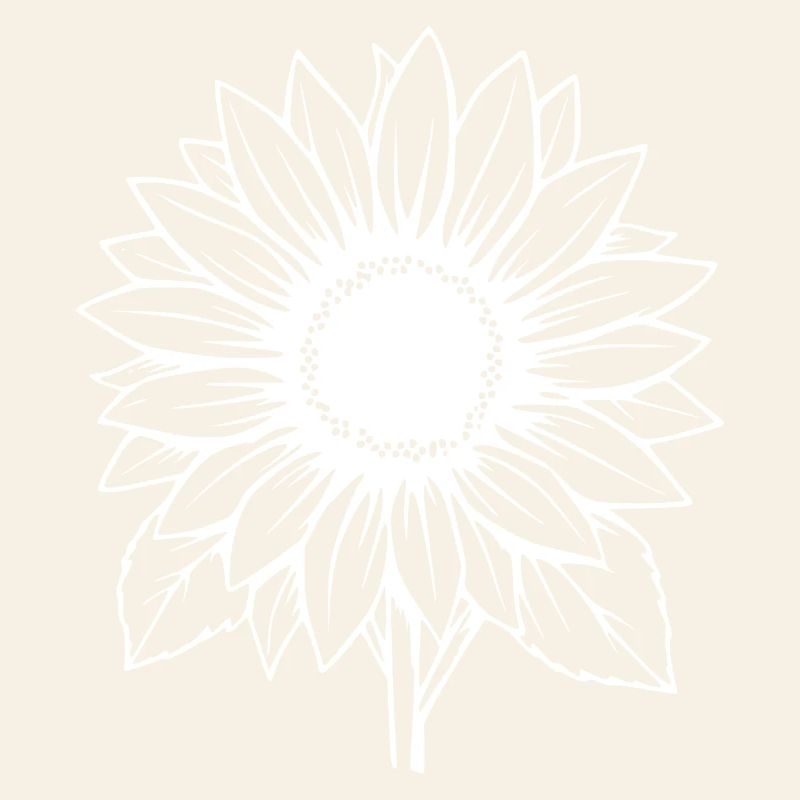 Fleur blanche Fleur blanche Fleurs de tournesol