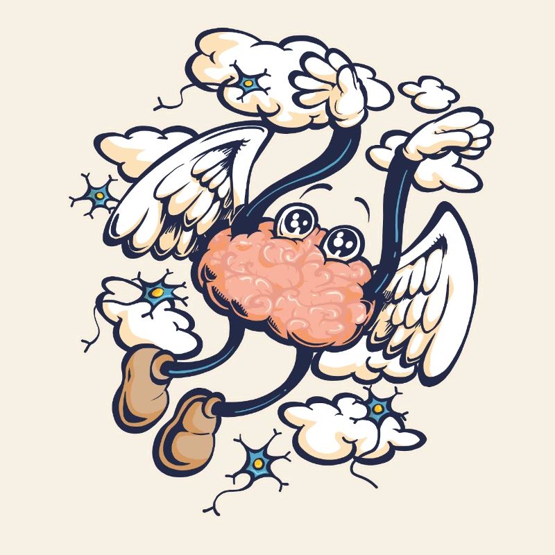 Ecstatic brain