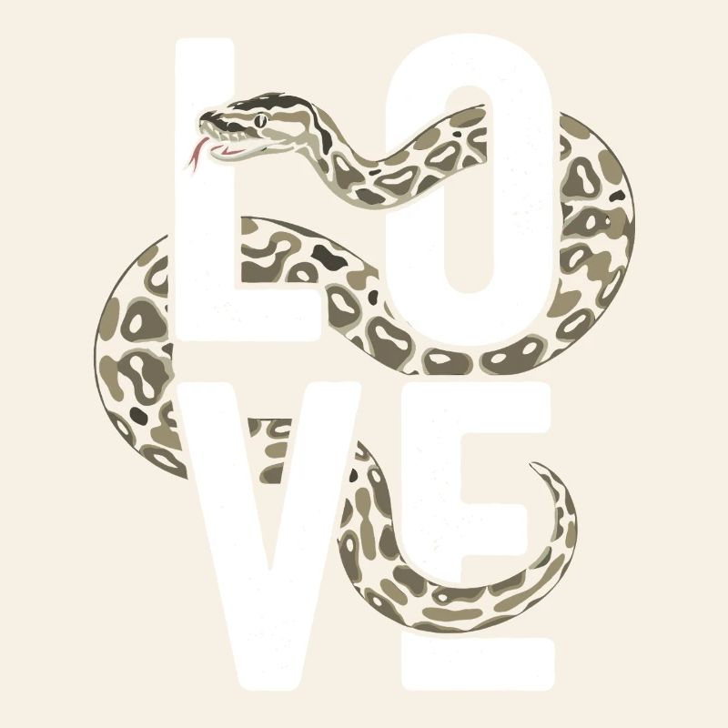 Königspython Schlangen LOVE Terrarium Python