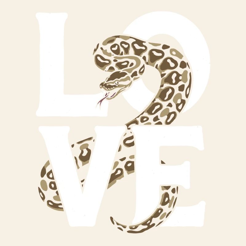 Les serpents rois Python ADORENT les pythons de terrarium