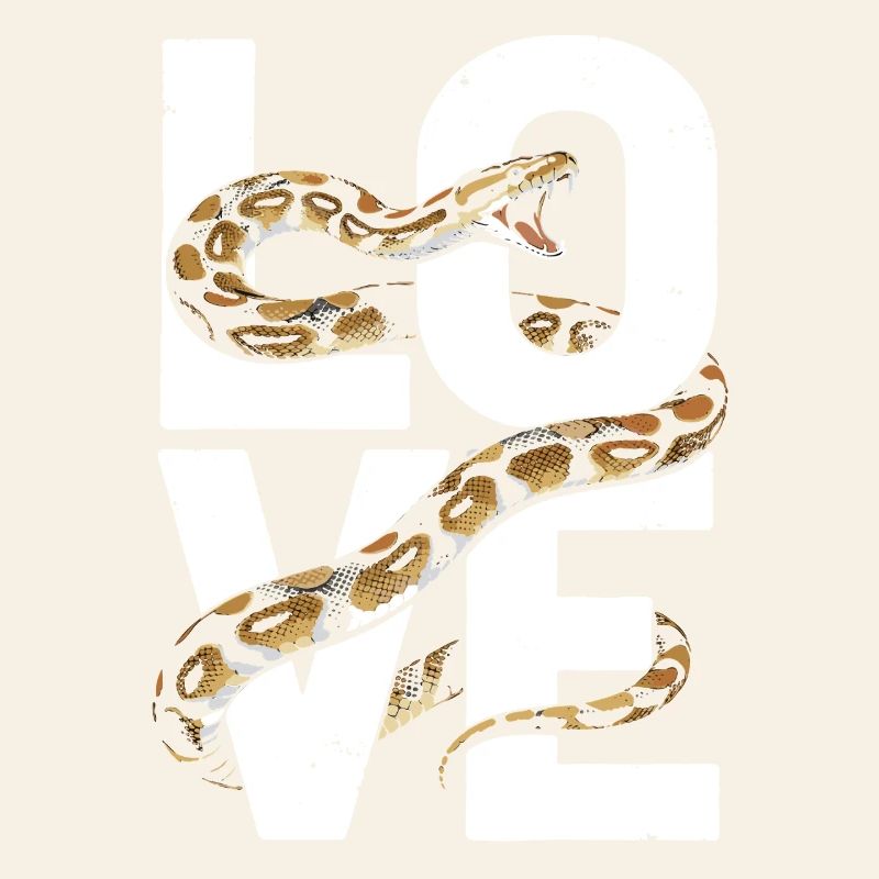 Les serpents rois Python ADORENT les pythons de terrarium