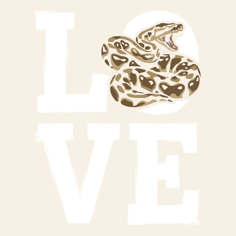 Les serpents rois Python ADORENT les pythons de terrarium