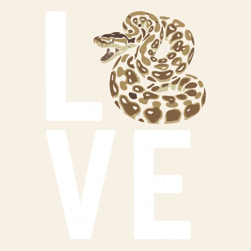 Königspython Schlangen LOVE Terrarium Python