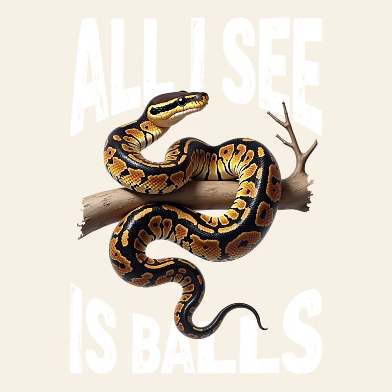 Python roi Serpents Amateurs de terrarium Python