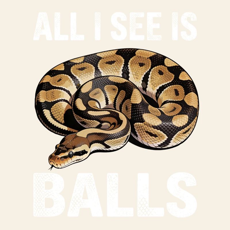 Königspython Schlangen Liebhaber Terrarium Python