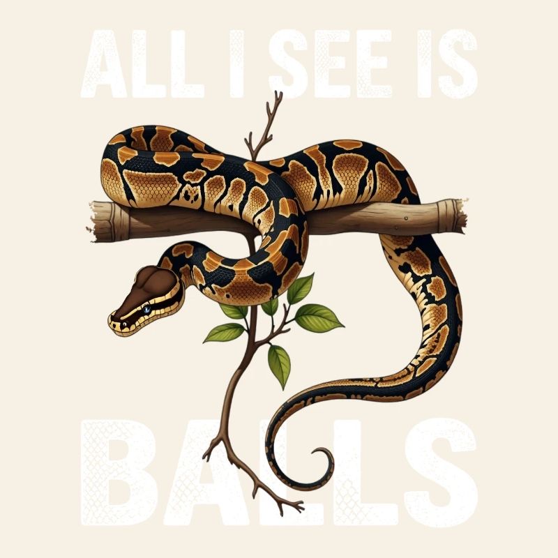 Königspython Schlangen Liebhaber Terrarium Python