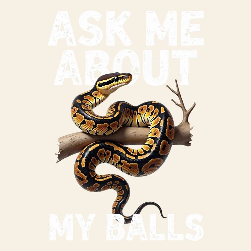 Königspython Schlangen Liebhaber Terrarium Python