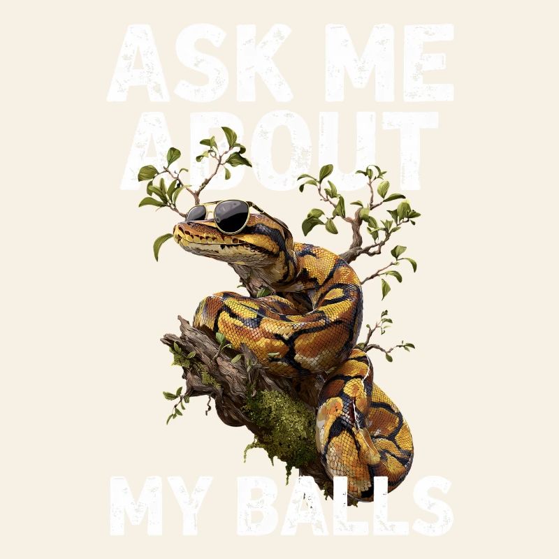 Königspython Schlangen Liebhaber Terrarium Python