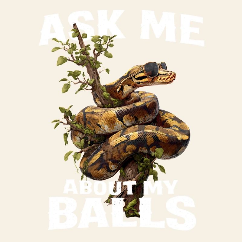 Königspython Schlangen Liebhaber Terrarium Python