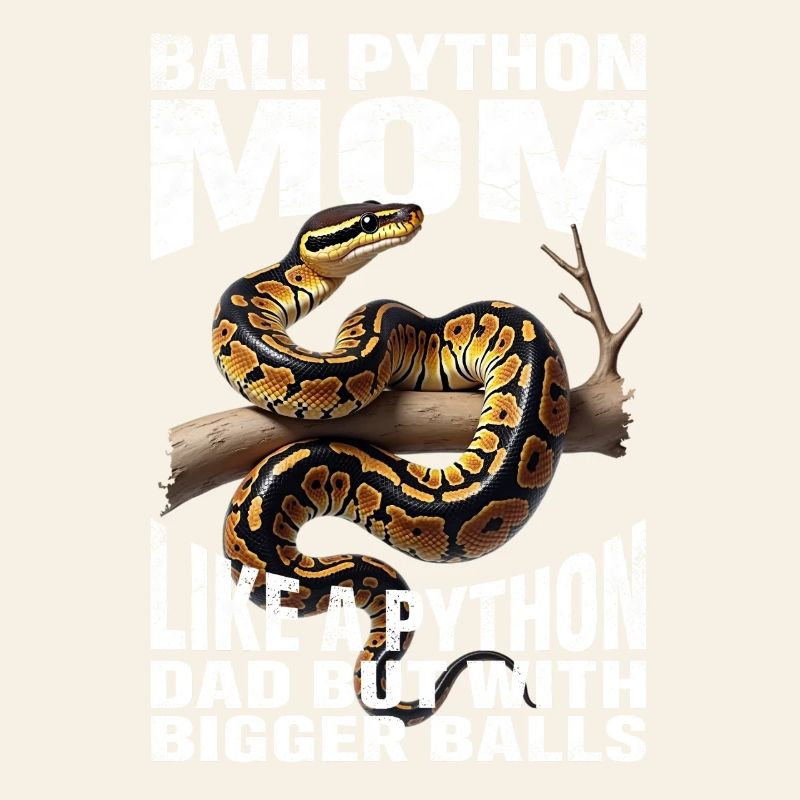 Königspython Mom Mama Schlangen Terrarium Python