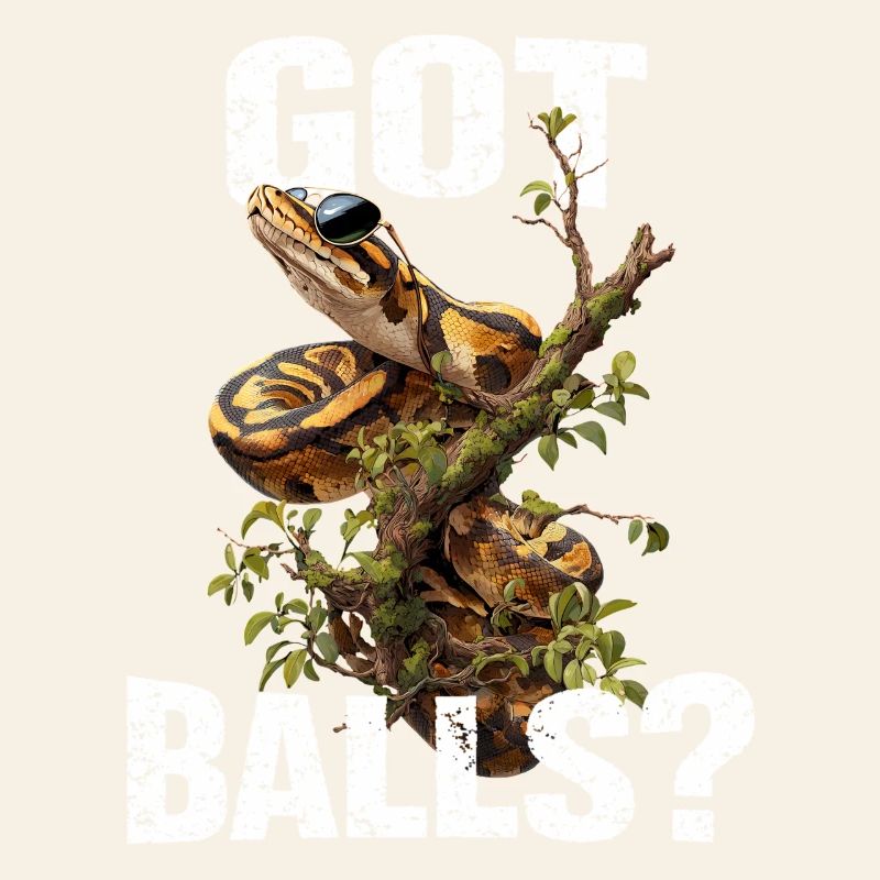 Python roi Serpents Amateurs de terrarium Python