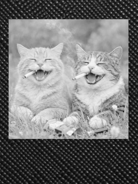 Funny cat design