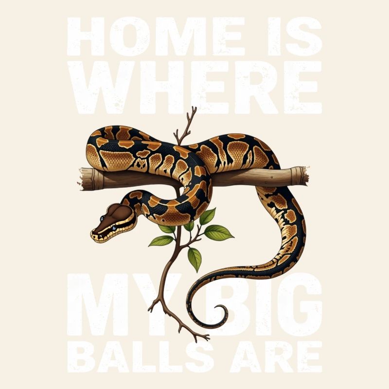 Königspython Schlangen Liebhaber Terrarium Python