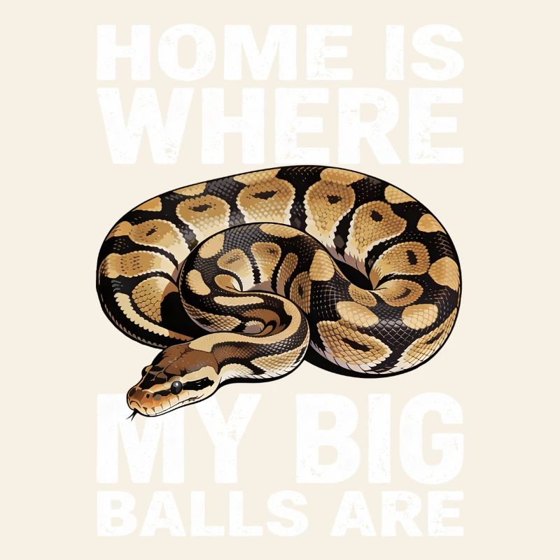 Königspython Schlangen Liebhaber Terrarium Python