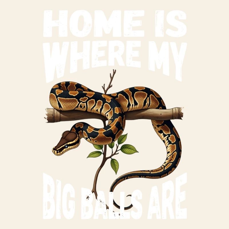 Königspython Schlangen Liebhaber Terrarium Python