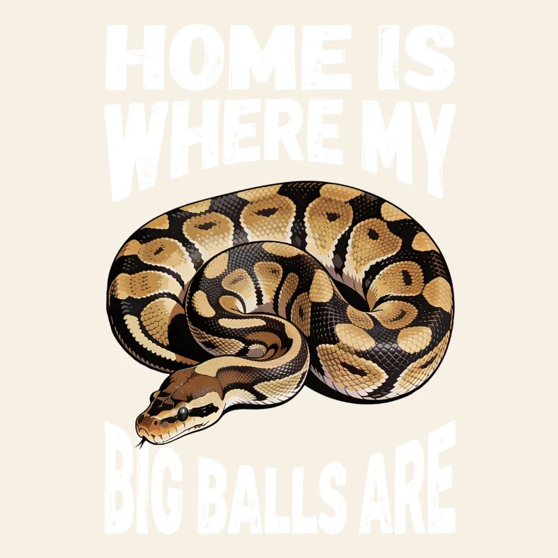 Königspython Schlangen Liebhaber Terrarium Python