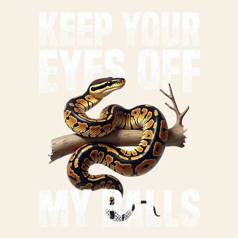 Königspython Schlangen Liebhaber Terrarium Python