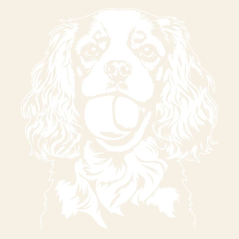 Cavalier King Charles Spaniel Ball Dogs Wilsigns