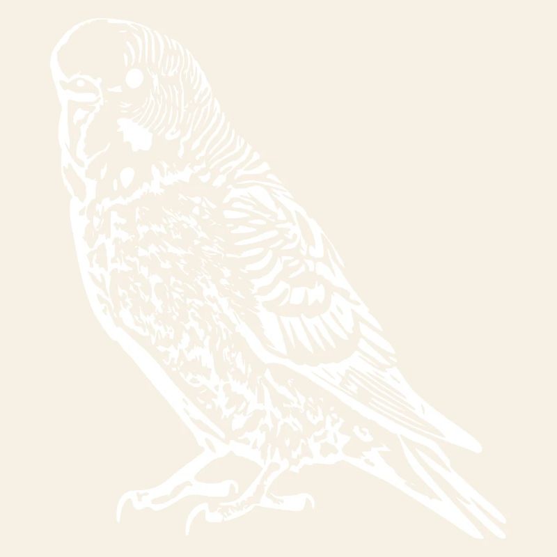 Perruche perrucheuse blanc