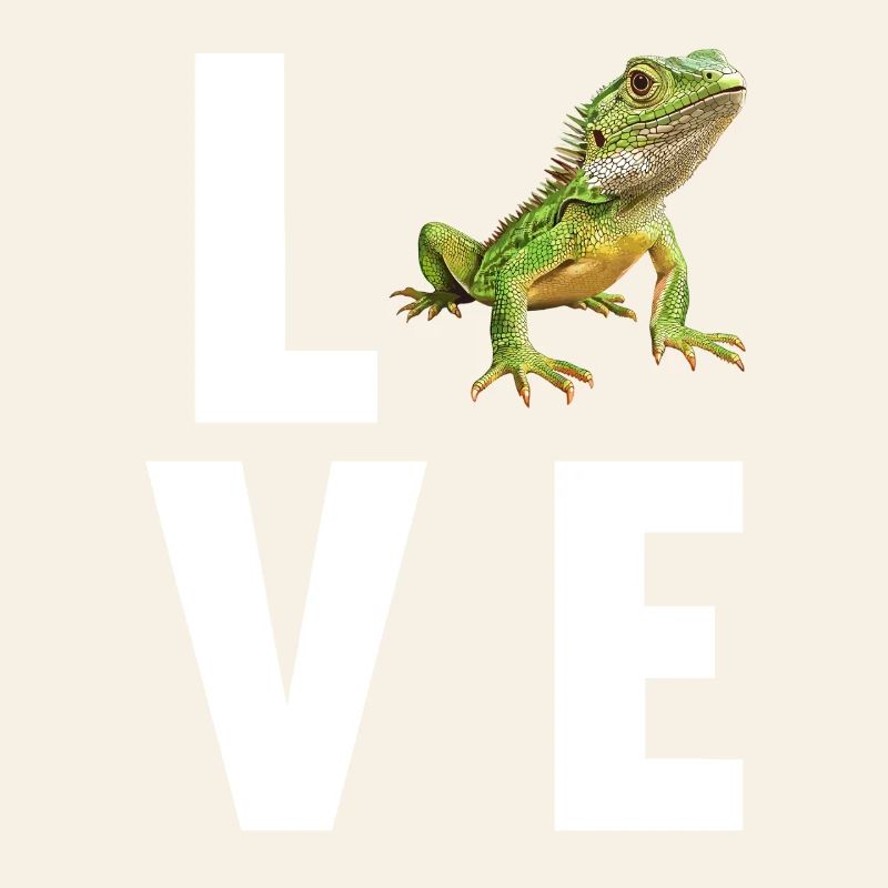 Lizards Lizard