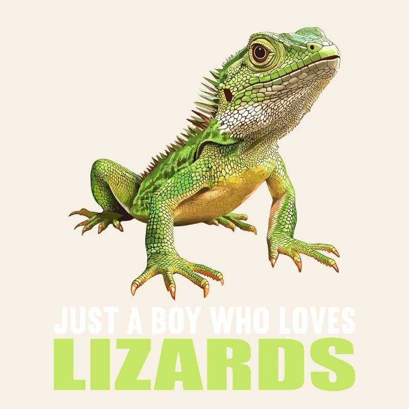 Lizards Lizard