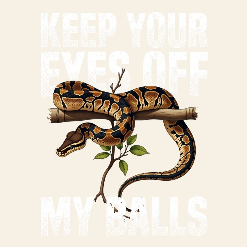 Königspython Schlangen Liebhaber Terrarium Python