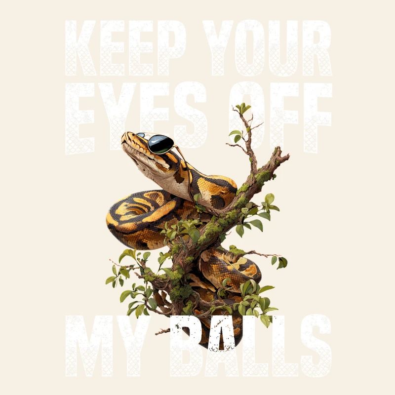 Königspython Schlangen Liebhaber Terrarium Python