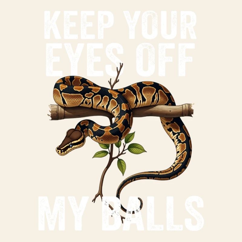 Königspython Schlangen Liebhaber Terrarium Python