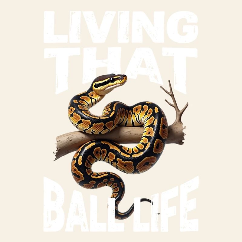 Python roi Serpents Amateurs de terrarium Python