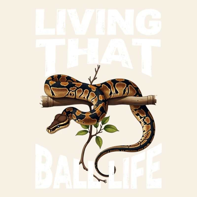 Königspython Schlangen Liebhaber Terrarium Python