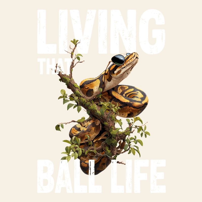 Python roi Serpents Amateurs de terrarium Python