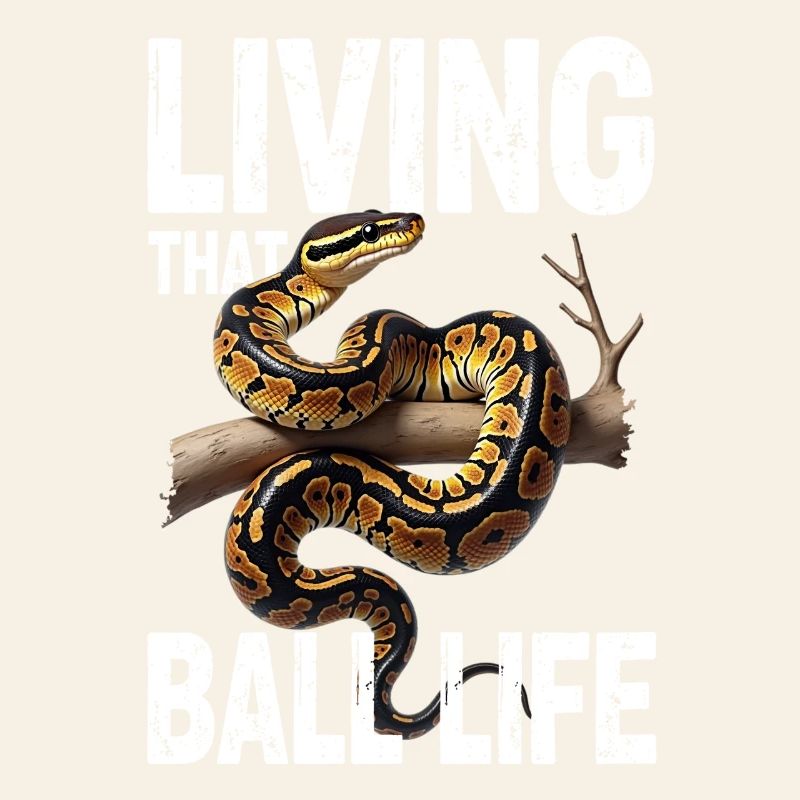 Python roi Serpents Amateurs de terrarium Python