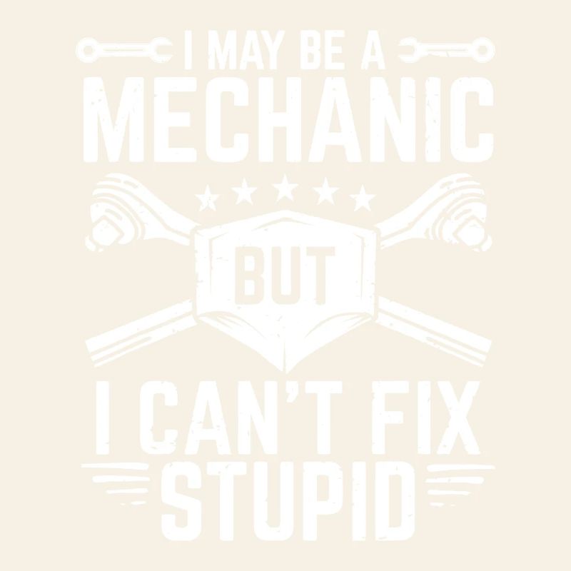 I May Be a Mechanic But I Can't Fix Stupid