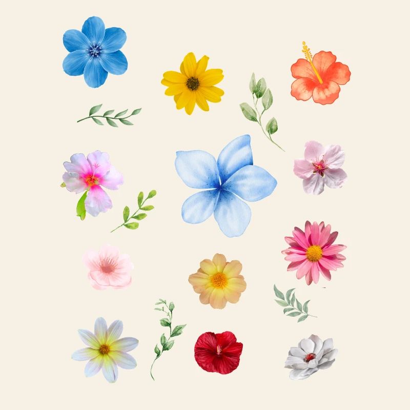 Spring is Coming