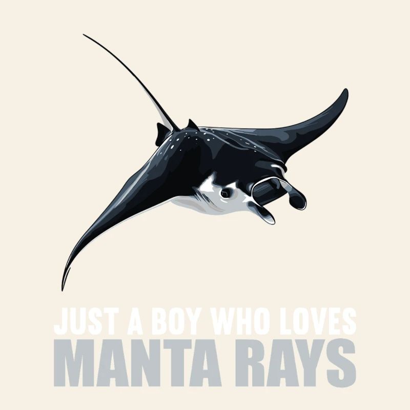 Rays Manta Rays