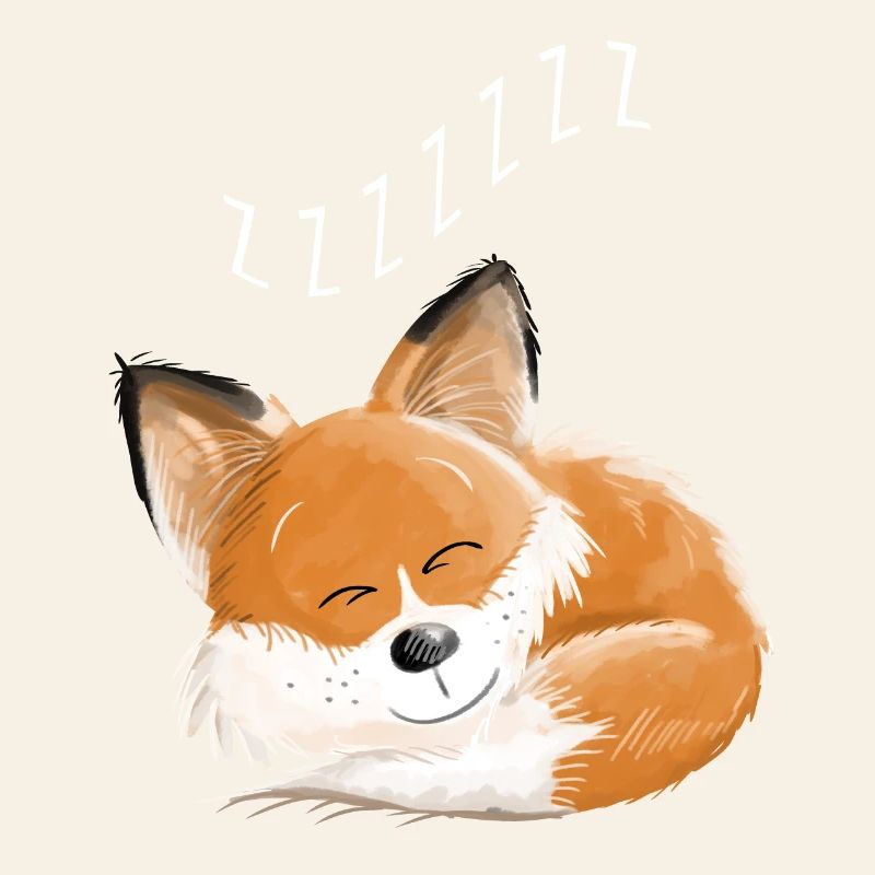 Fox sleeping - dream - dreams - foxes