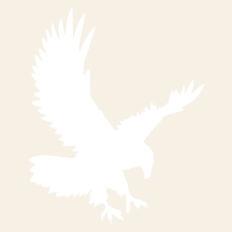 Eagles on the attack