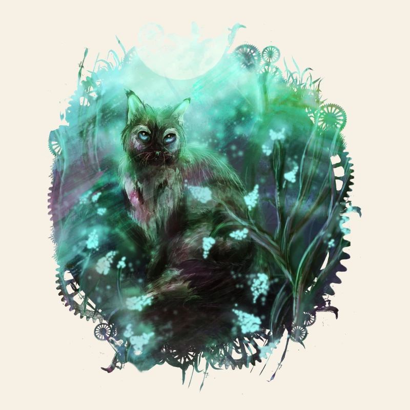 Cat in the magic forest
