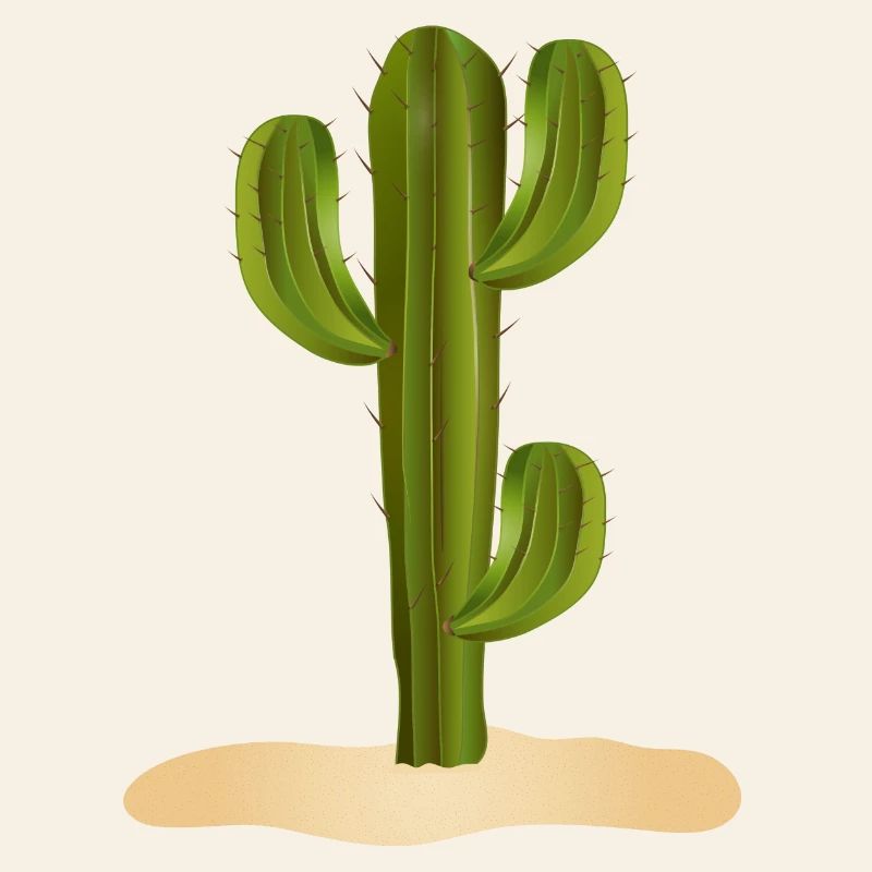 Grand cactus vert dans le désert dans le sable