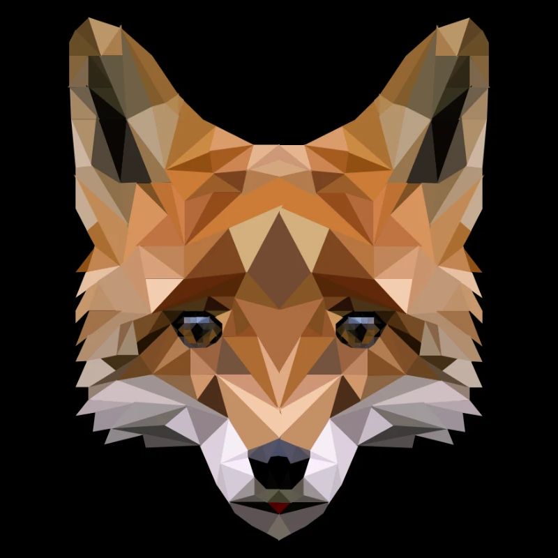 renard polygonal