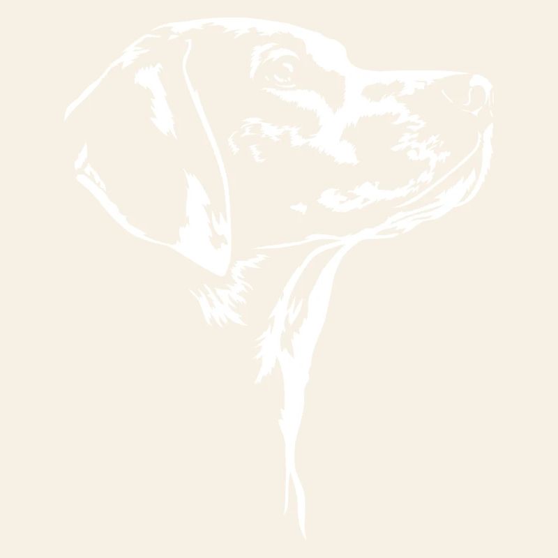 American Foxhound Silhouette Jagdhunde Wilsigns