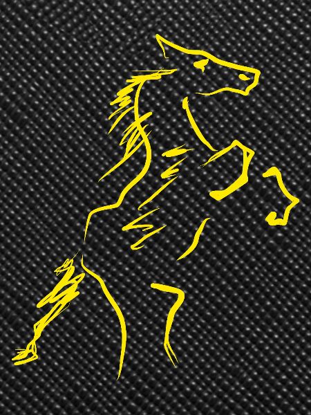 Horse Equestrian Rider