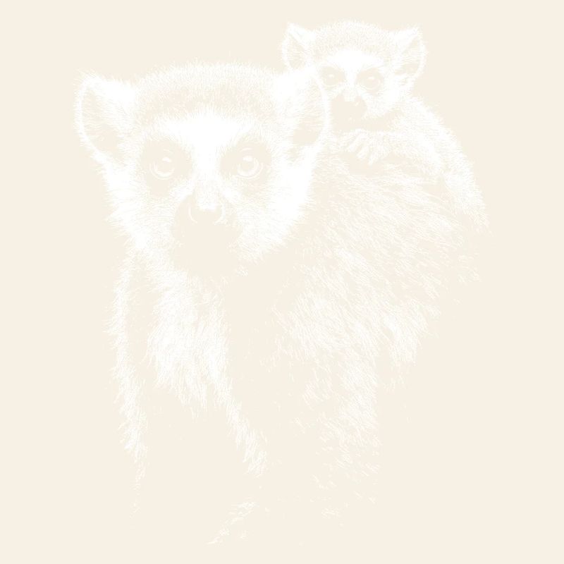 ring-tailed lemur