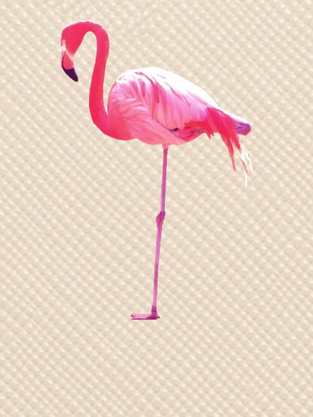 Pink Flamingo