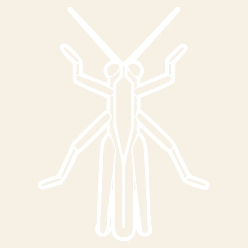 A grasshopper