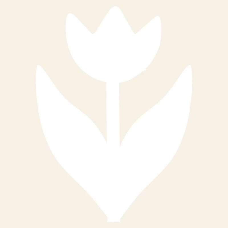 Fleur Blanche Fleur Tulipe Blanche