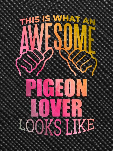 Pigeon Pigeon Pigeon