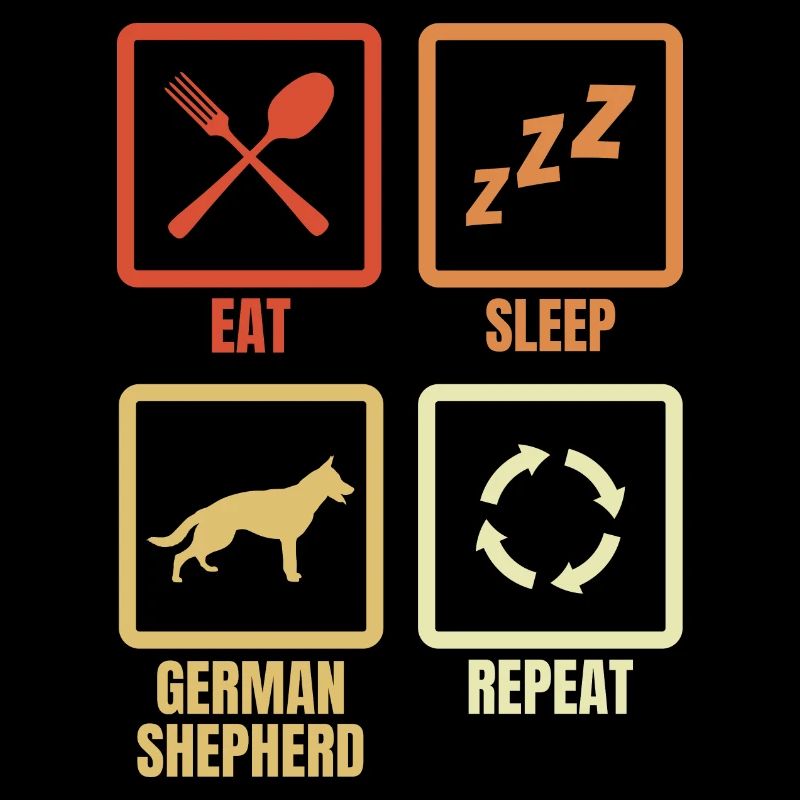 Manger dormir chien de berger répéter