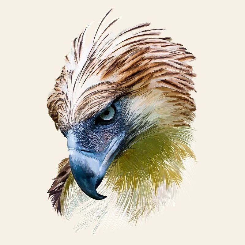Aigle
