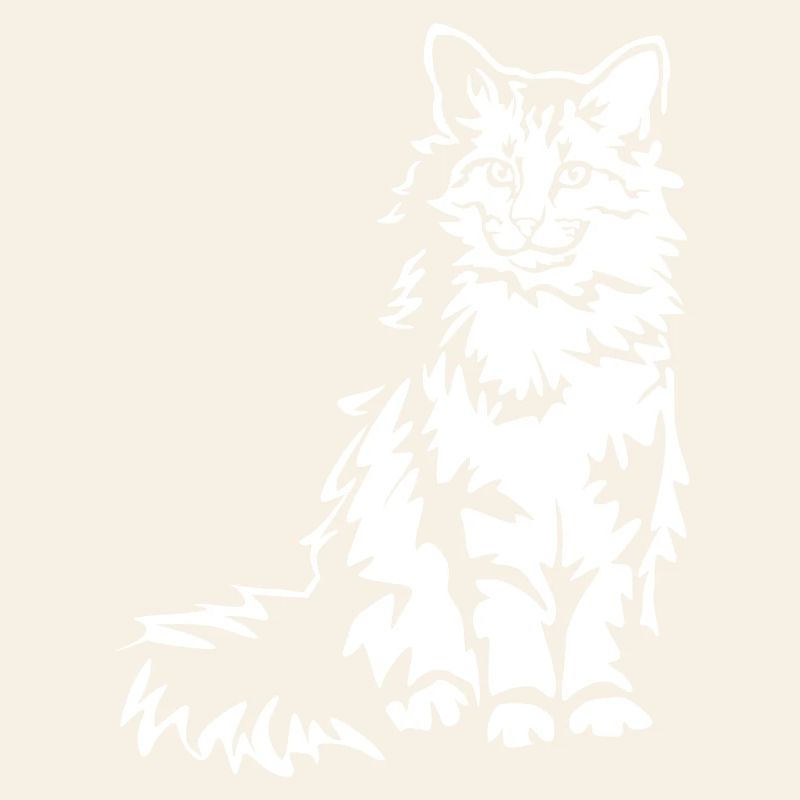 Chat des forêts norvégiennes « Black Edition »